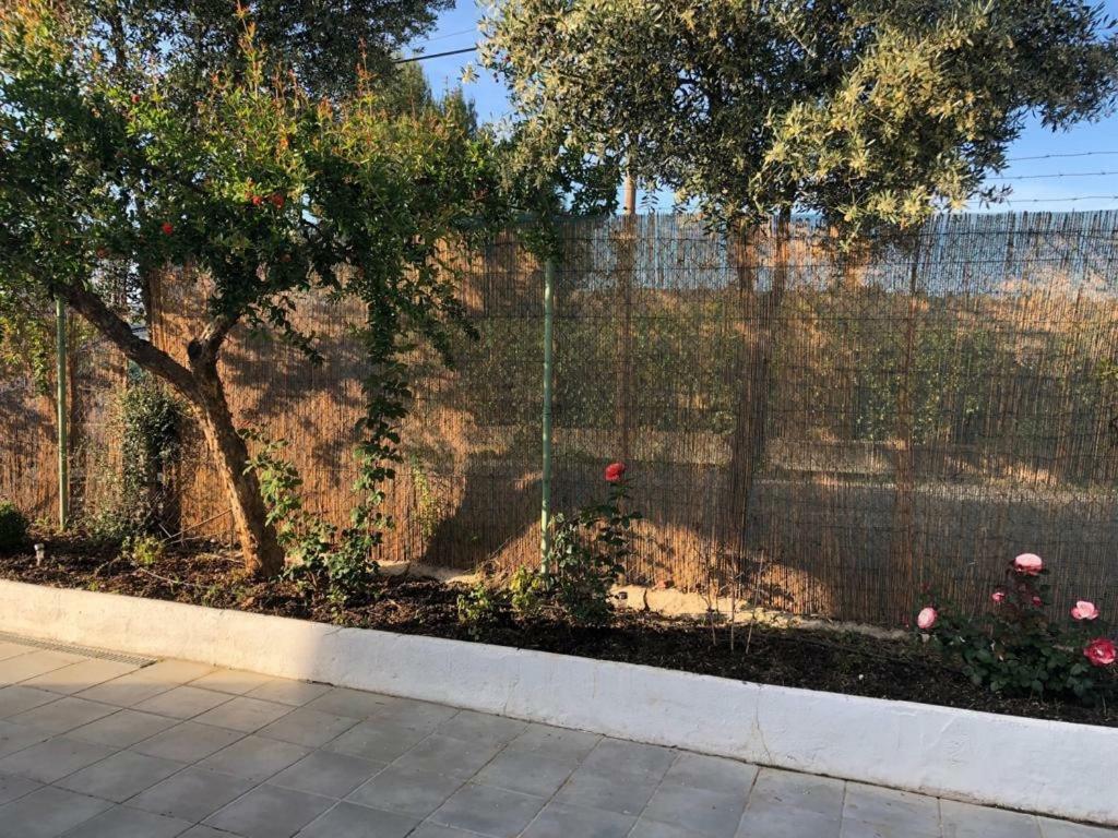 Casa Rural En La Costa Del Sol Villa Cártama Esterno foto